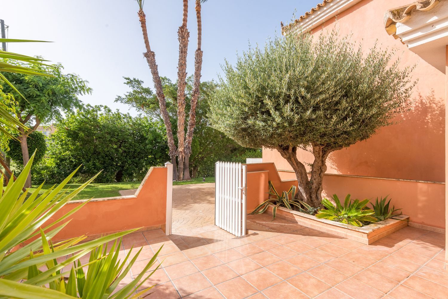 Casas o chalets-Venta-Alicante-2411460-Foto-7