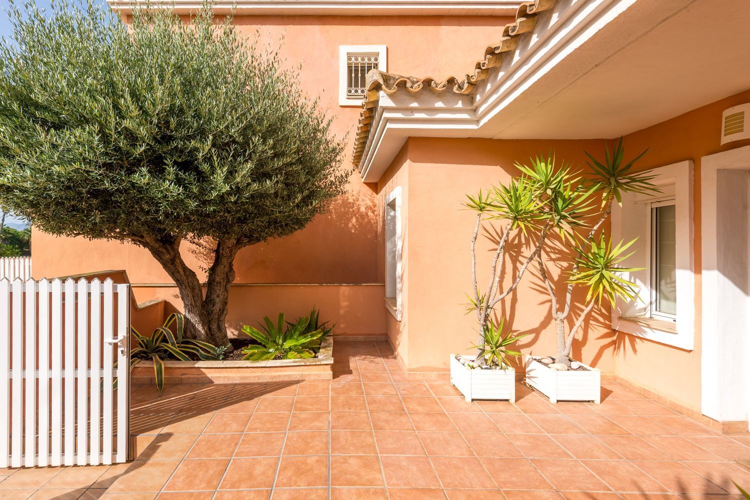 Casas o chalets-Venta-Alicante-2411460-Foto-6