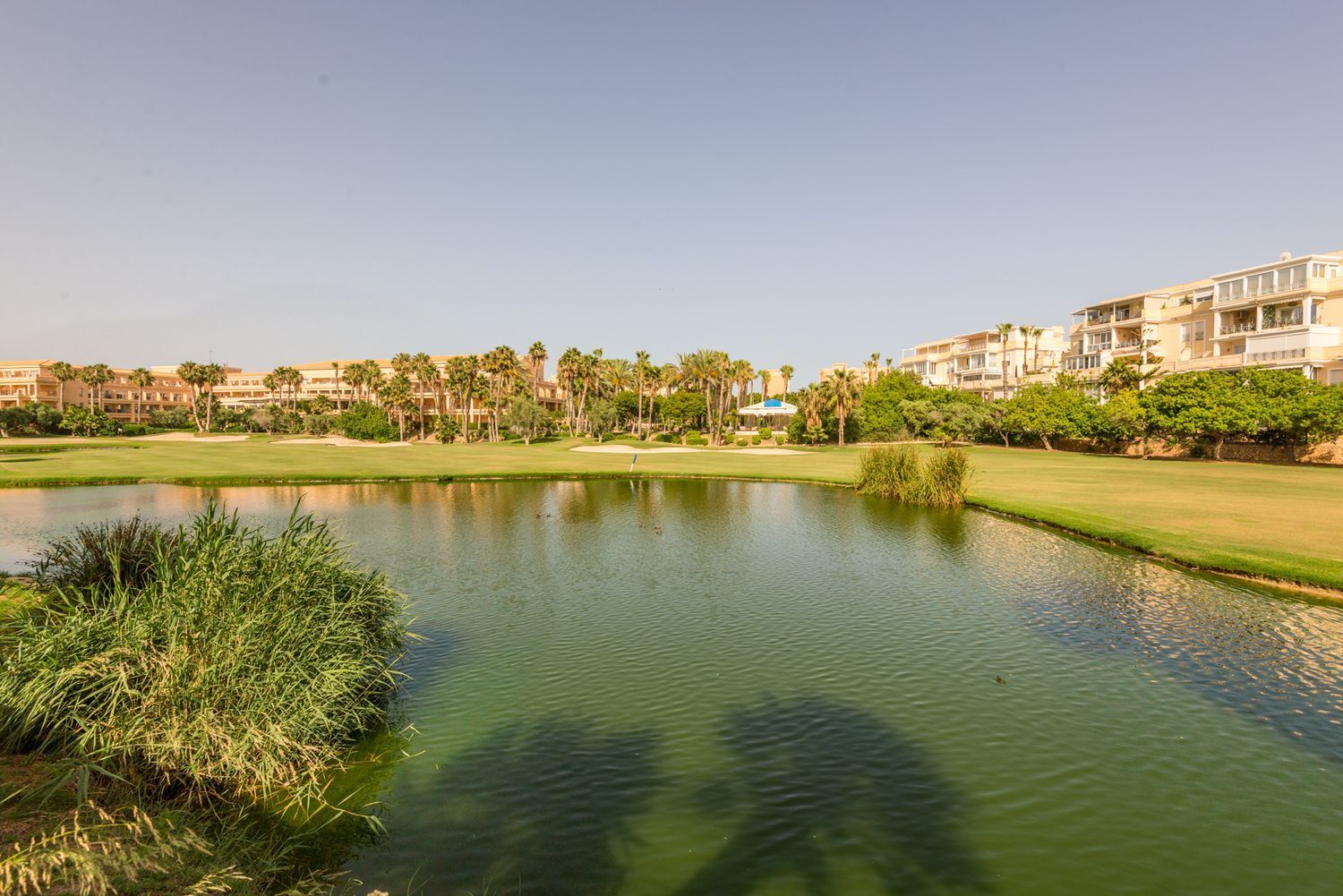Casas o chalets-Venta-Alicante-2411460-Foto-66