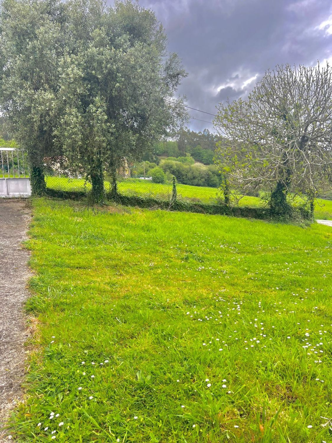 Casas o chalets-Venta-Abegondo-2419388-Foto-30