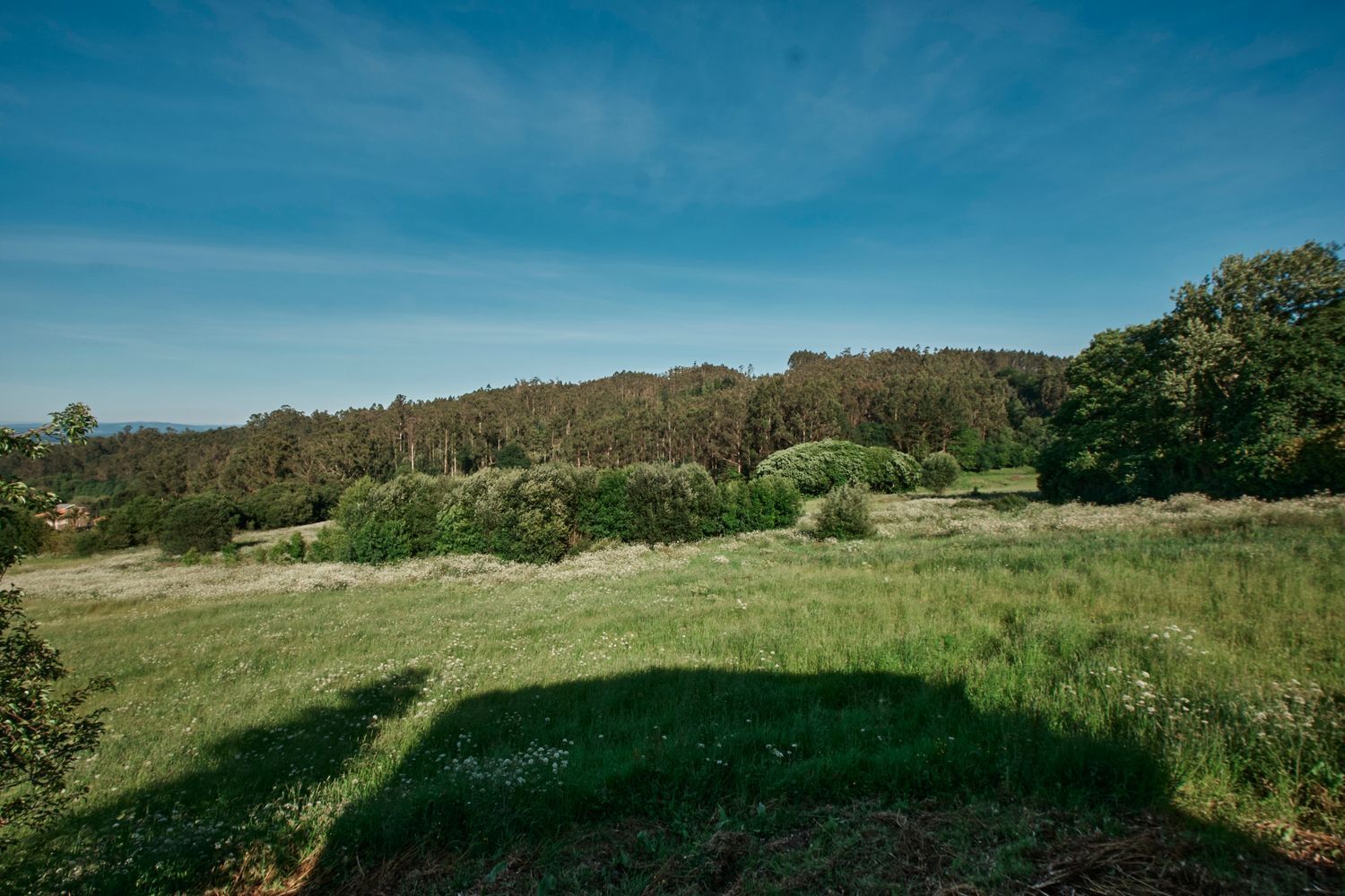 Casas o chalets-Venta-Abegondo-2419388-Foto-59