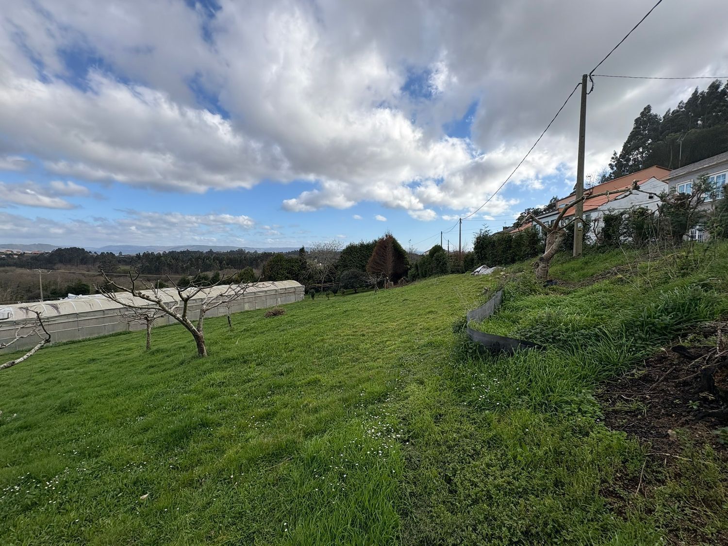 Fincas y solares-Venta-2419403