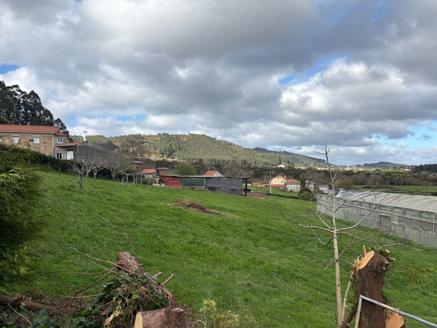 Fincas y solares-Venta-Ferrol-2419403-Foto-2