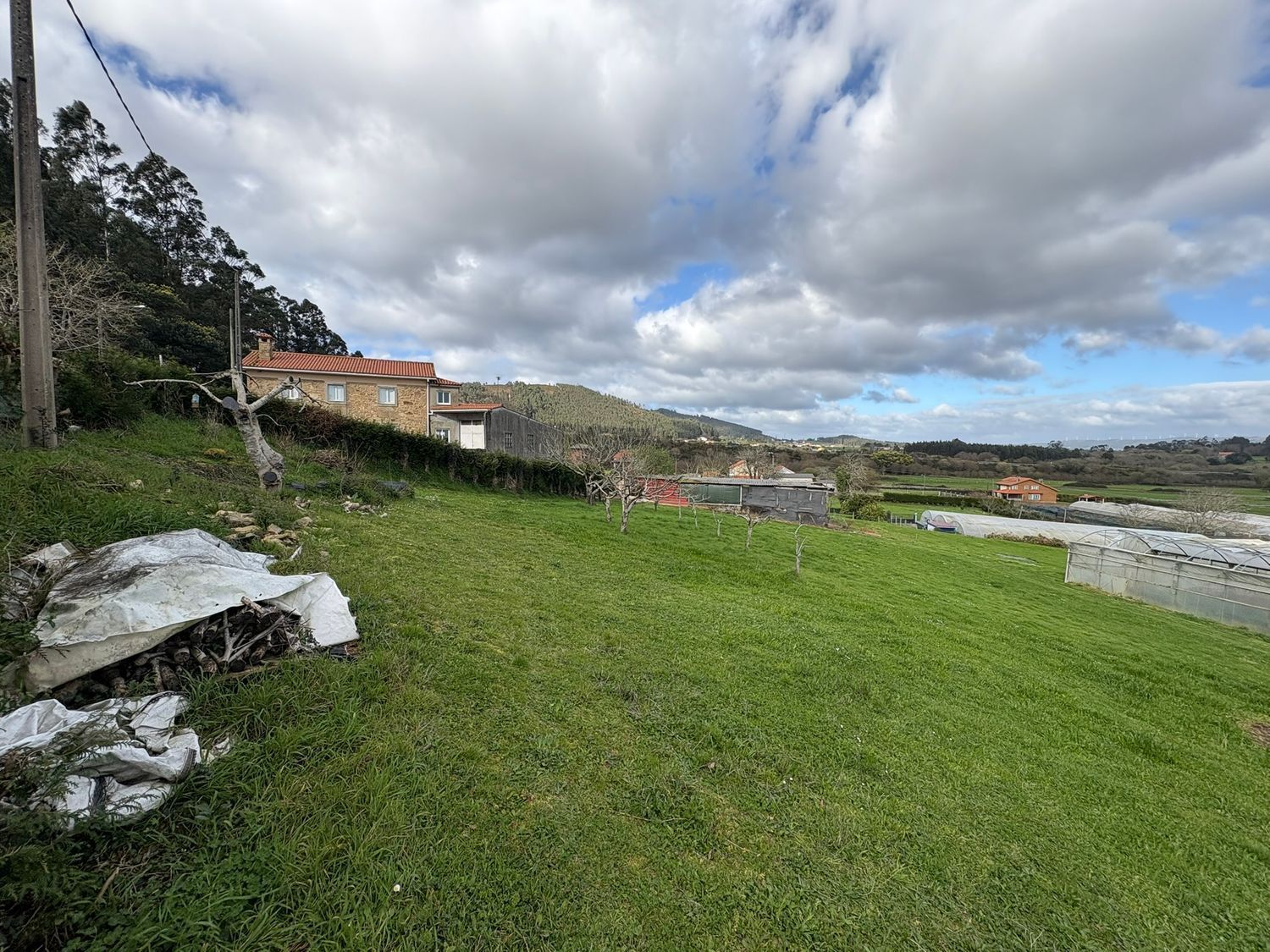 Fincas y solares-Venta-Ferrol-2419403-Foto-5