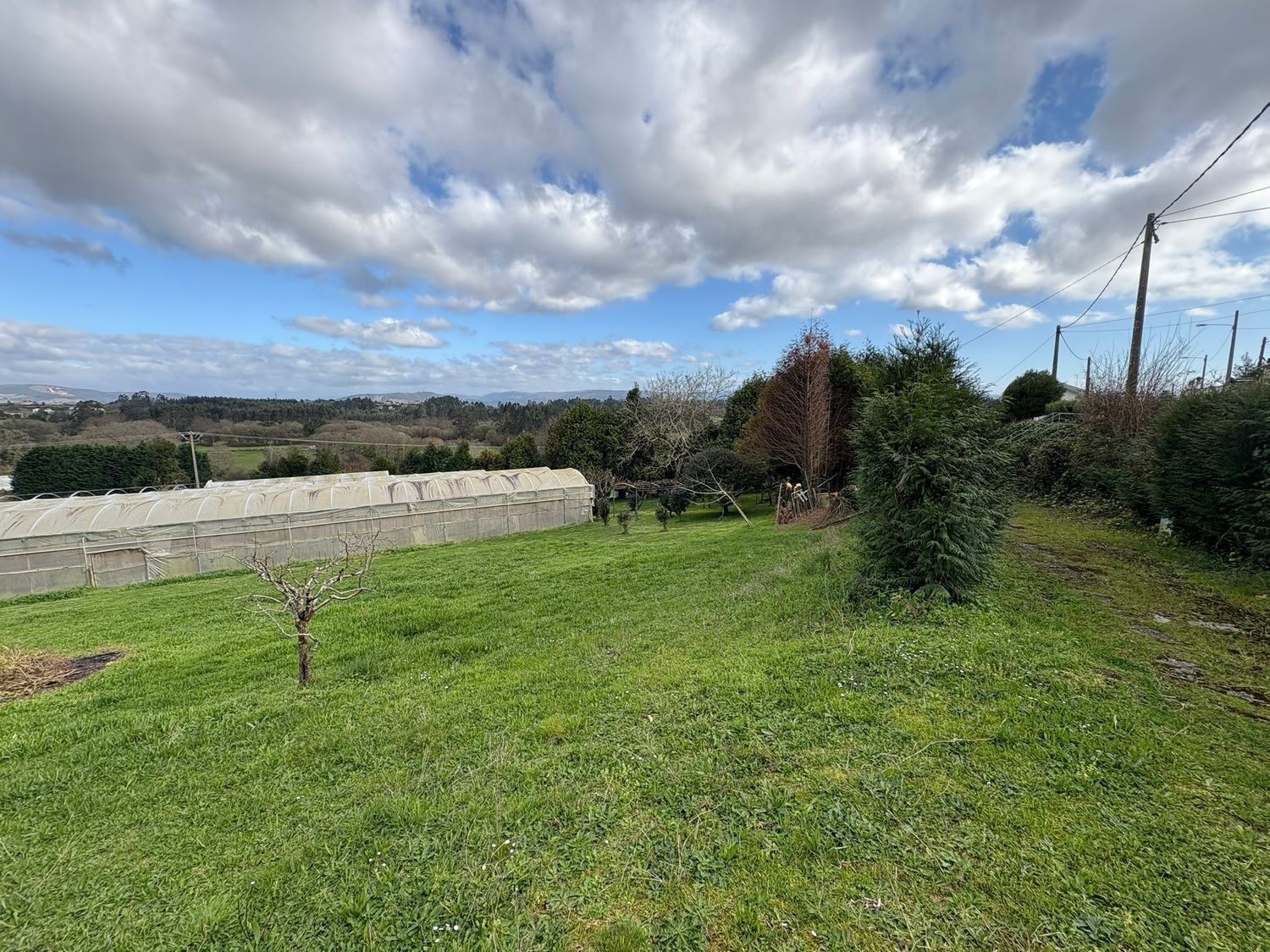 Fincas y solares-Venta-Ferrol-2419403-Foto-4