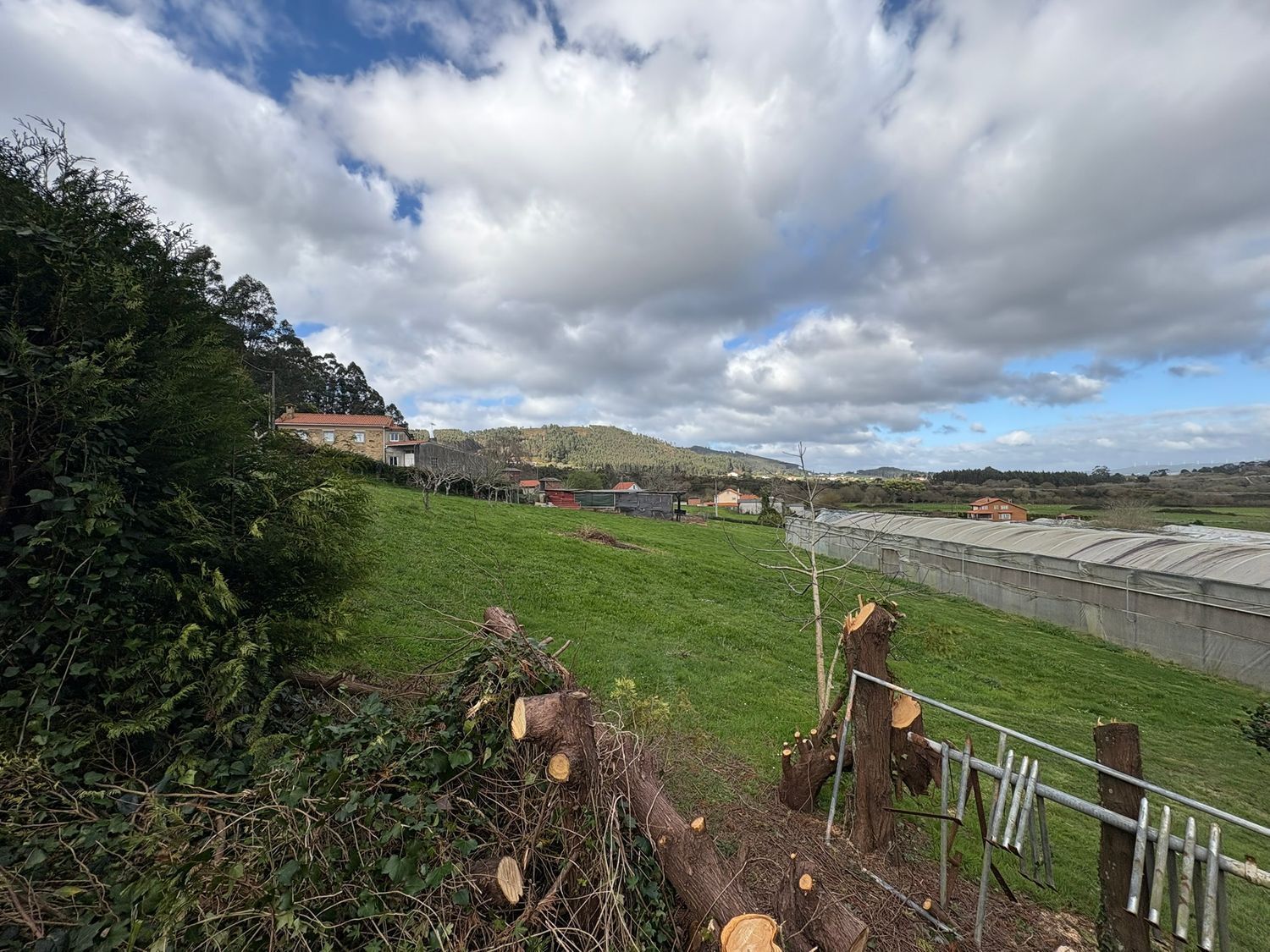 Fincas y solares-Venta-Ferrol-2419403-Foto-3