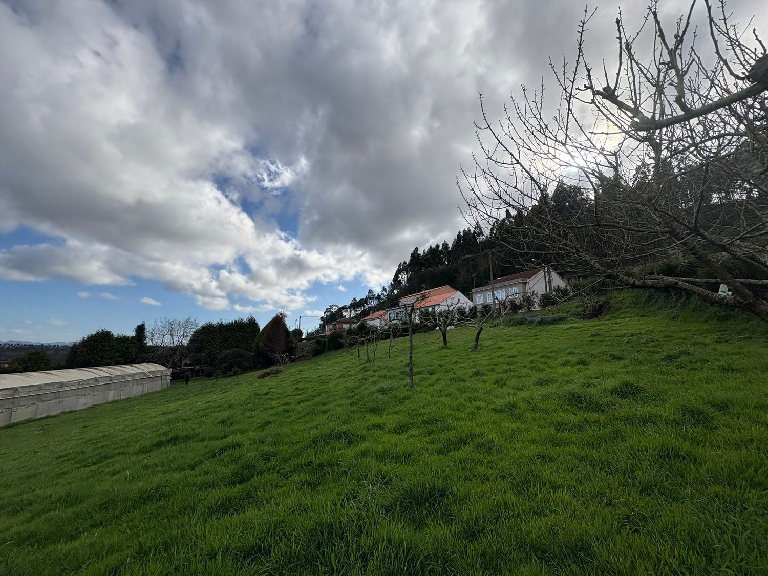 Fincas y solares-Venta-Ferrol-2419403-Foto-7