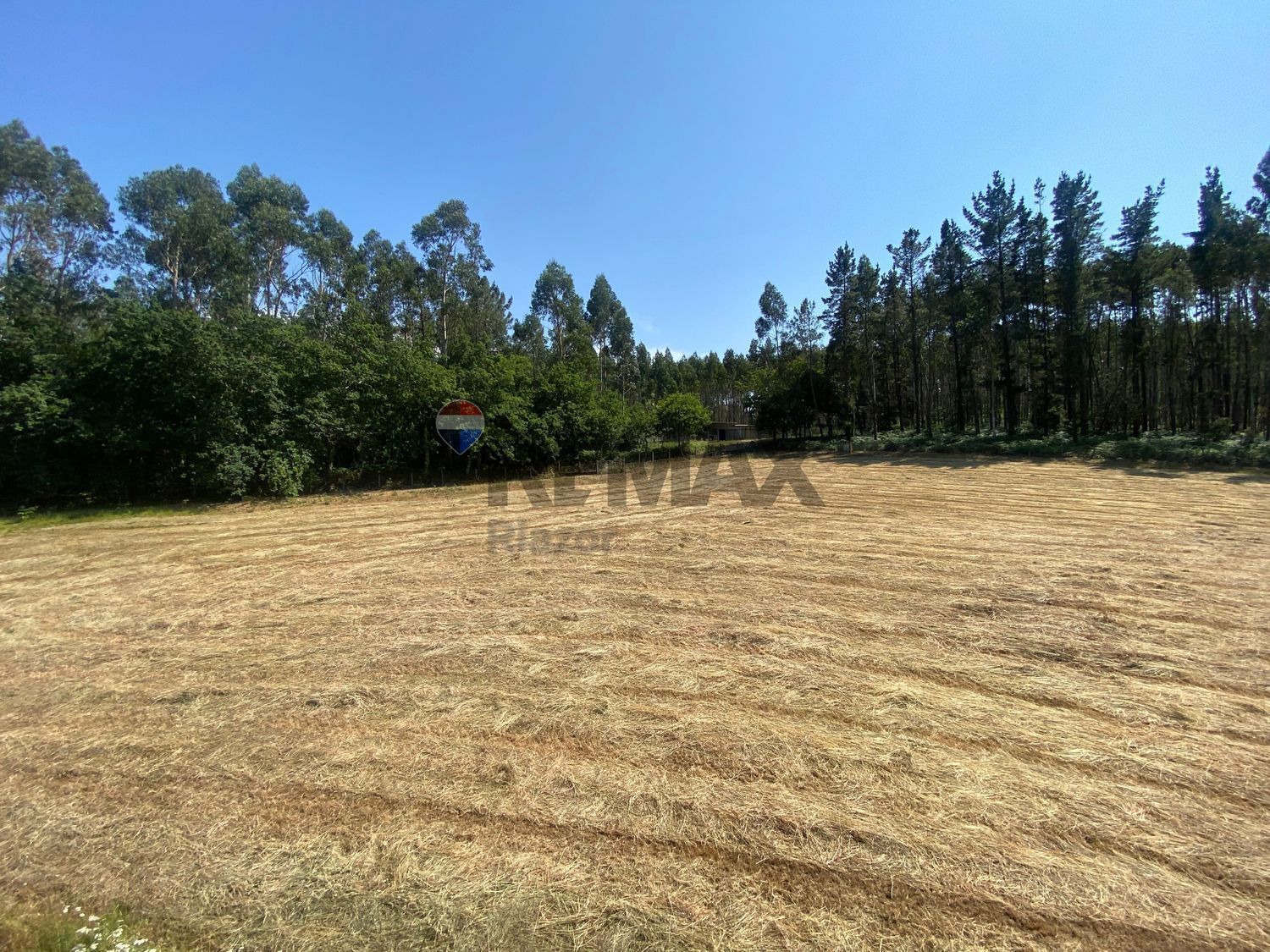 Casas o chalets-Venta-Sant Joan d