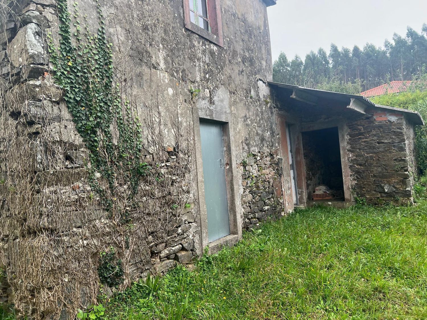 Casas o chalets-Venta-San SadurniÃ±o-2419421-Foto-9