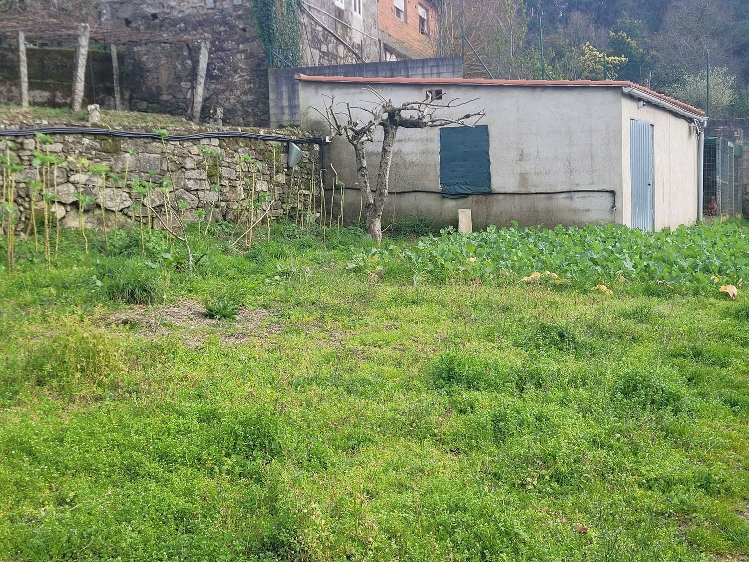 Casas o chalets-Venta-MoraÃ±a-2419448-Foto-17