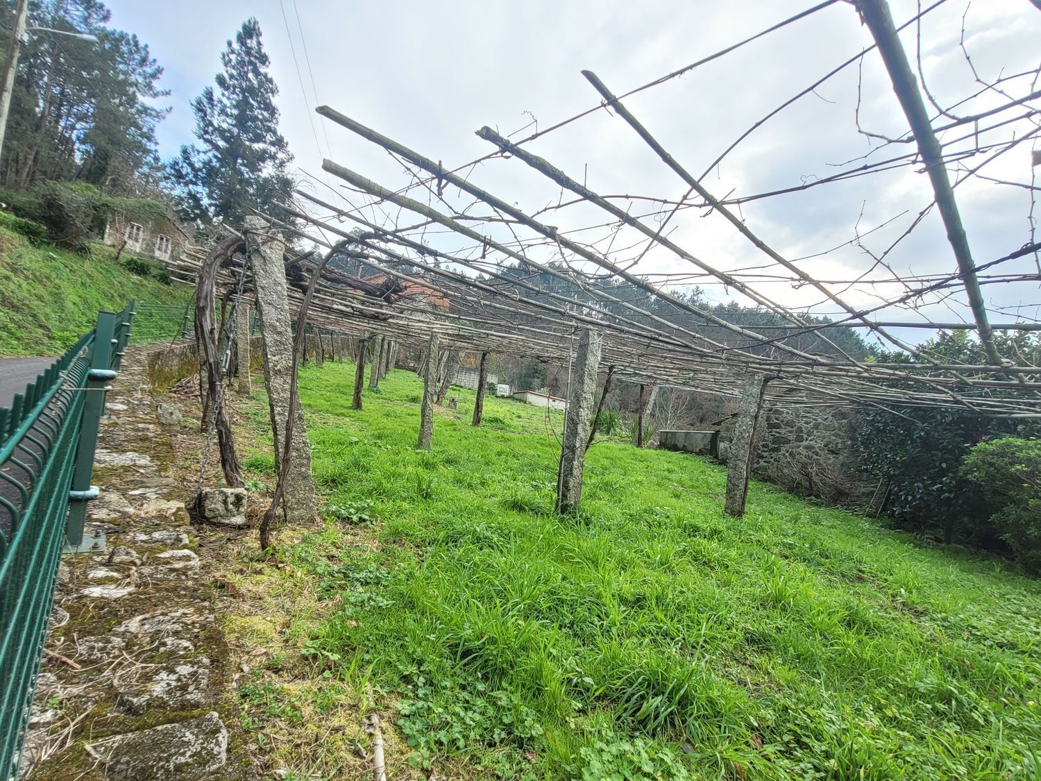 Casas o chalets-Venta-MoraÃ±a-2419448-Foto-23