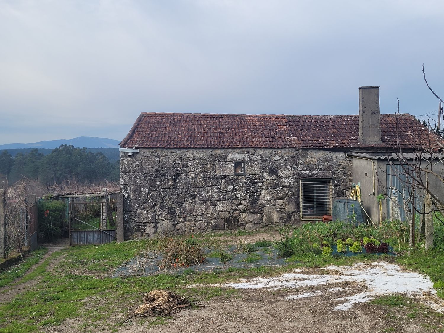 Casas o chalets-Venta-MoraÃ±a-2419448-Foto-51