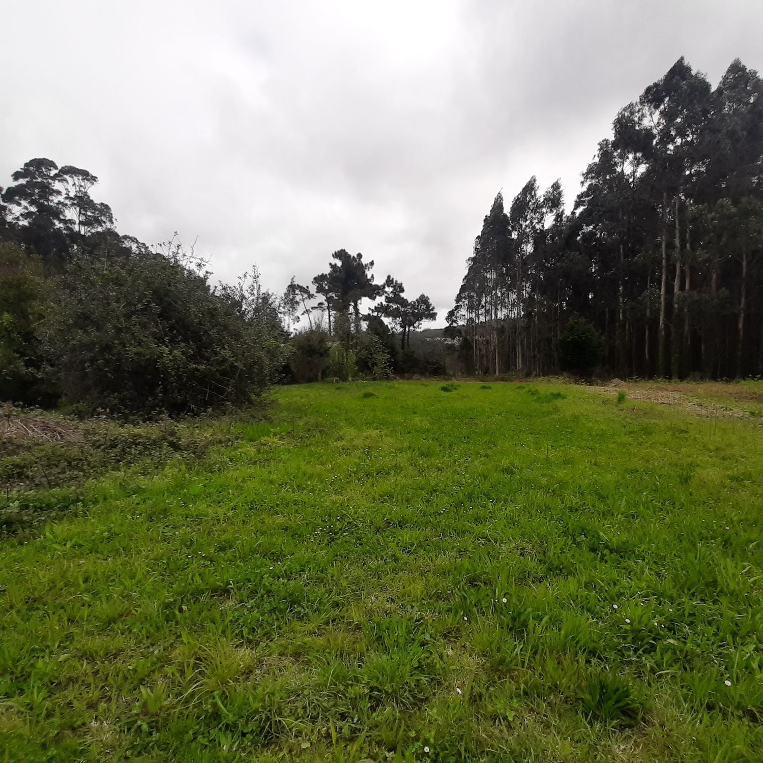 Pisos-Venta-Ortigueira-2419451-Foto-28