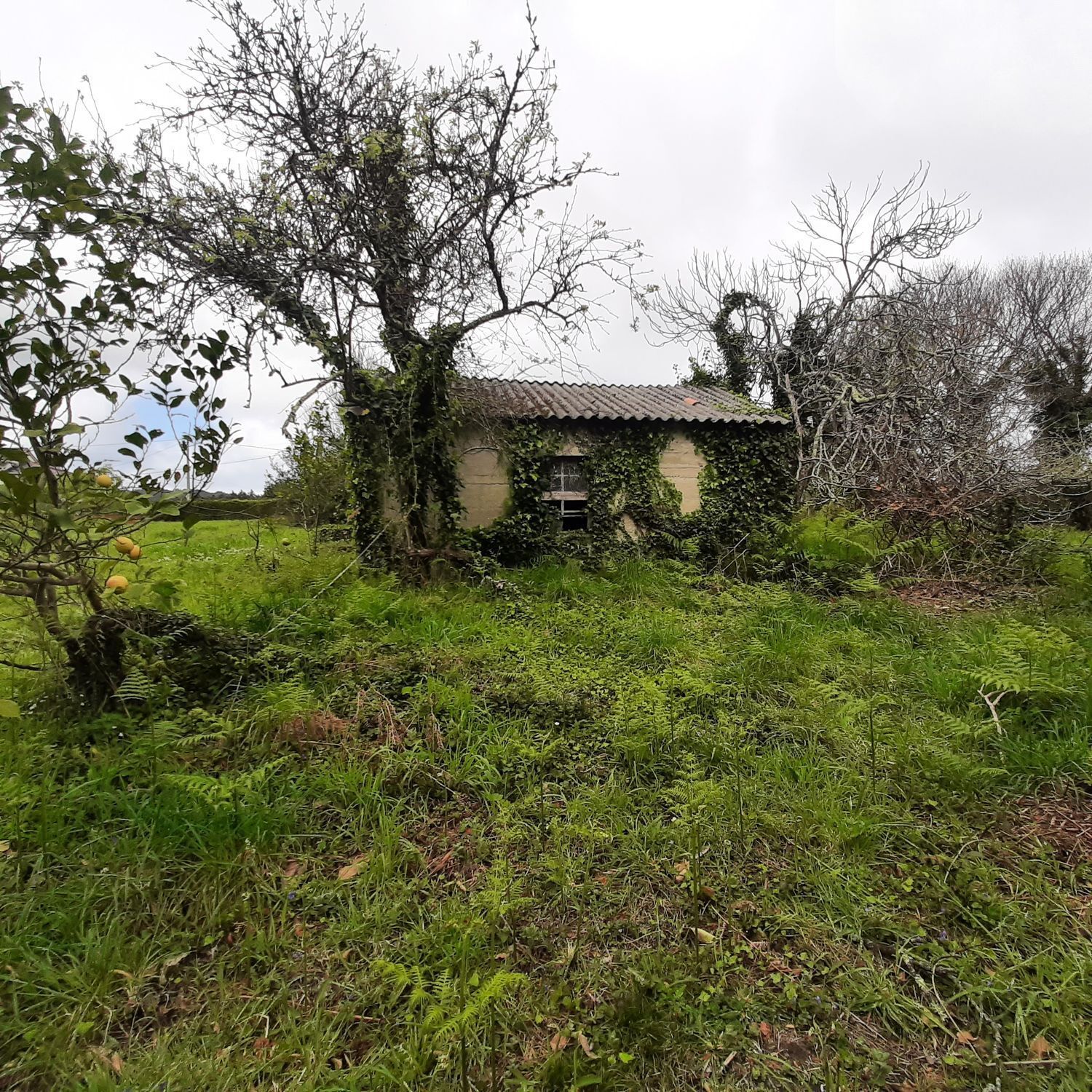 Pisos-Venta-Ortigueira-2419451-Foto-30