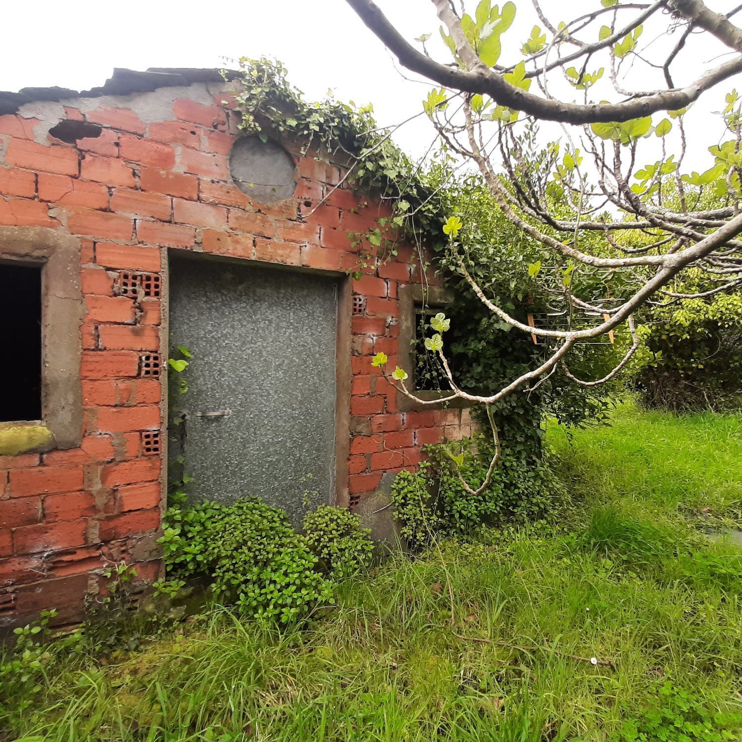 Pisos-Venta-Ortigueira-2419451-Foto-34