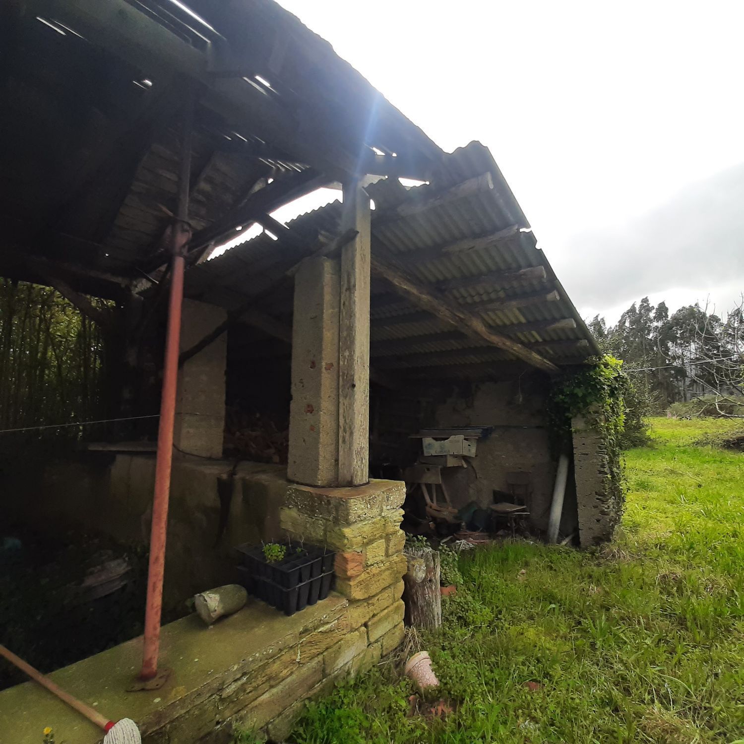 Pisos-Venta-Ortigueira-2419451-Foto-38