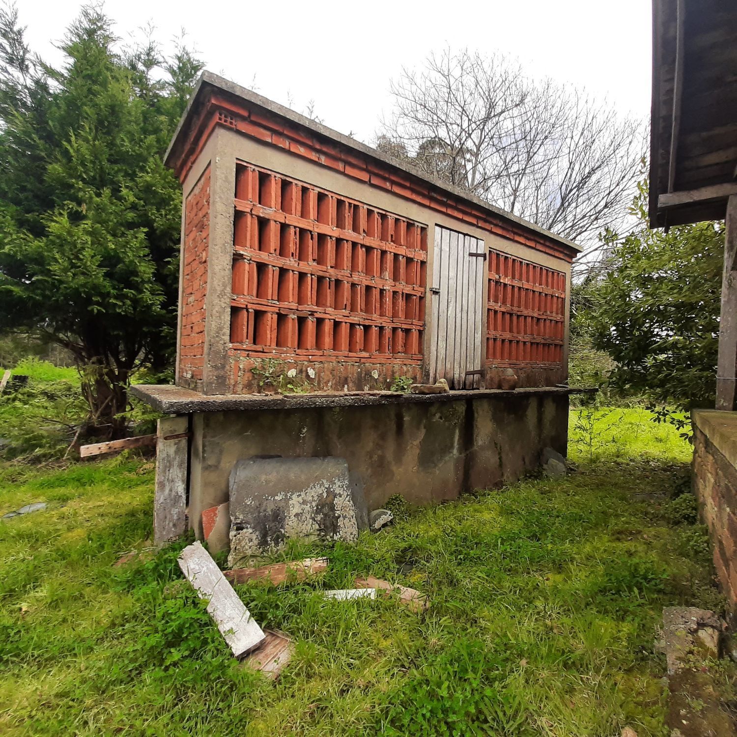 Pisos-Venta-Ortigueira-2419451-Foto-39