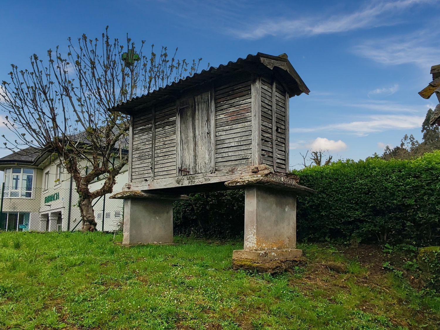 Casas o chalets-Venta-Culleredo-2419472-Foto-12