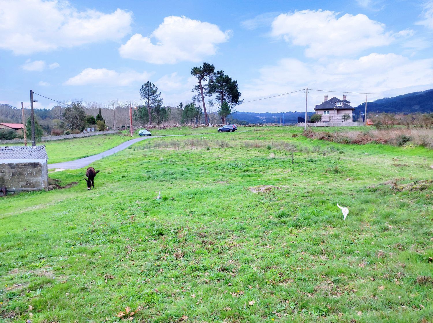 Fincas y solares-Venta-Culleredo-2419475-Foto-5