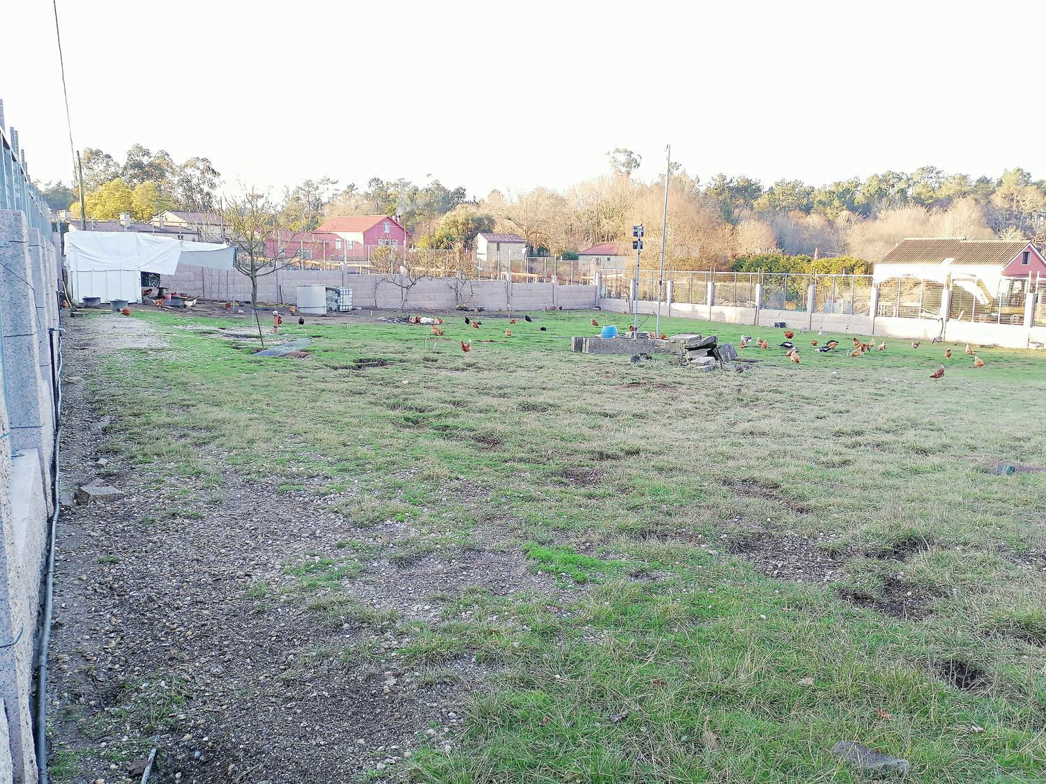 Fincas y solares-Venta-BriÃ³n-2419478-Foto-3