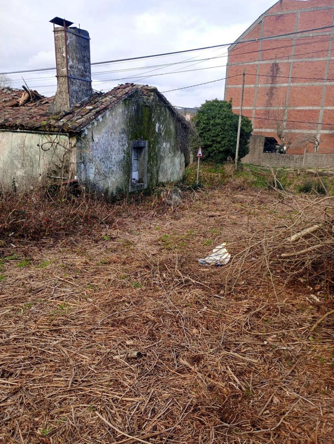 Pisos-Venta-Negreira-2419481-Foto-2