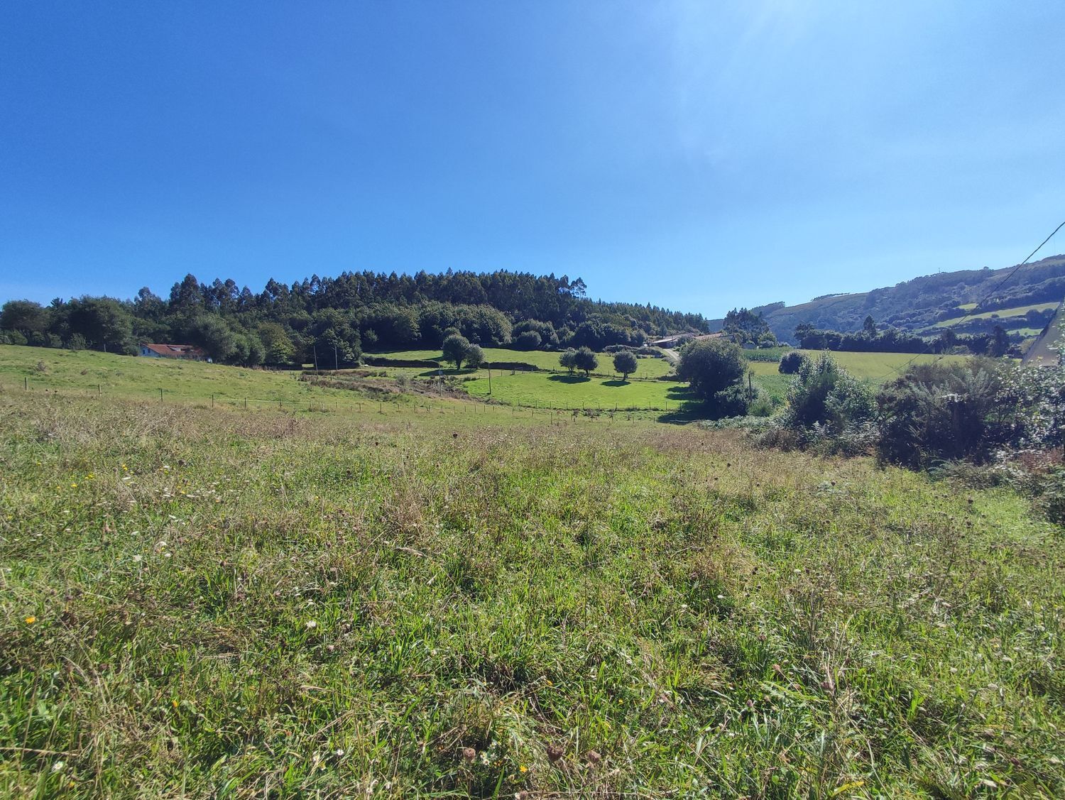 Fincas y solares-Venta-A Laracha-2419514-Foto-4