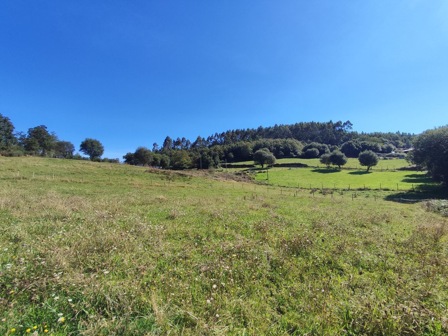 Fincas y solares-Venta-A Laracha-2419514-Foto-7