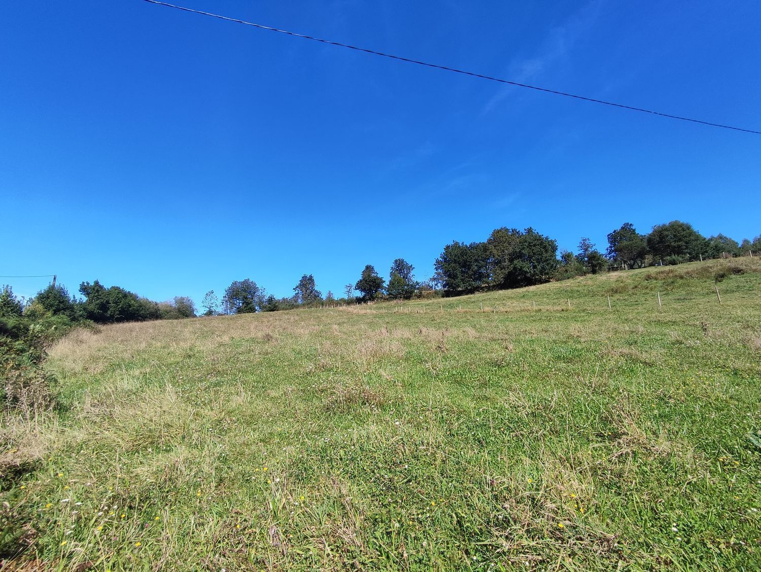 Fincas y solares-Venta-A Laracha-2419514-Foto-8