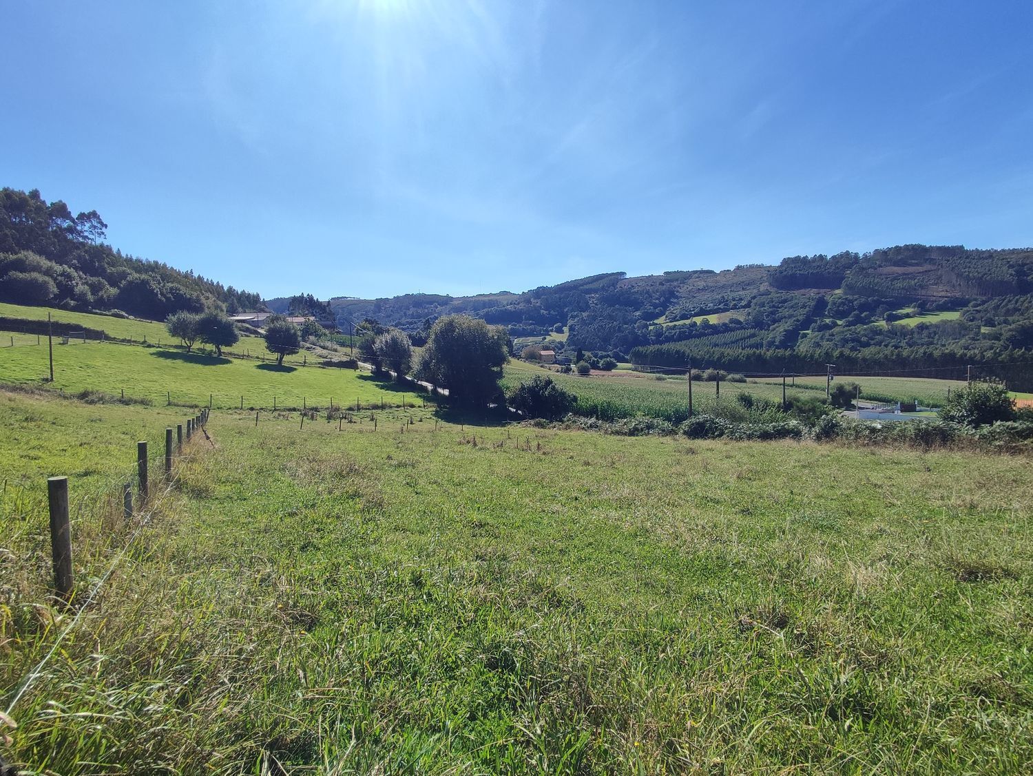 Fincas y solares-Venta-A Laracha-2419514-Foto-6