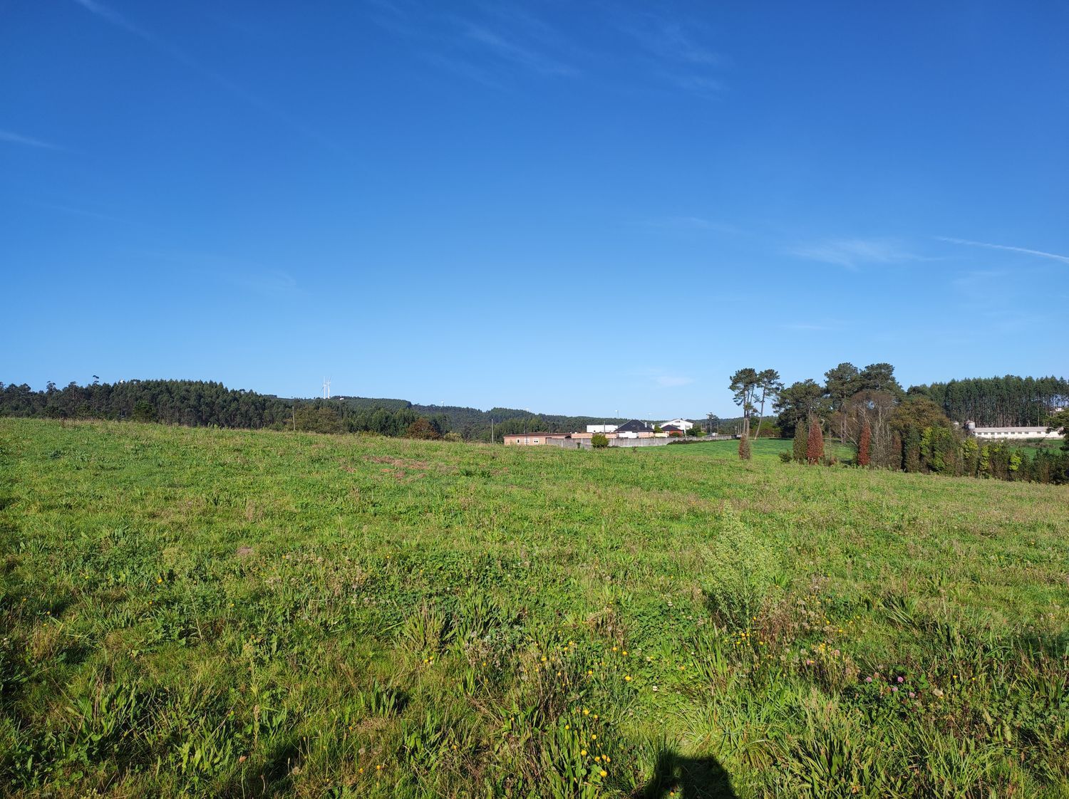 Fincas y solares-Venta-2419517