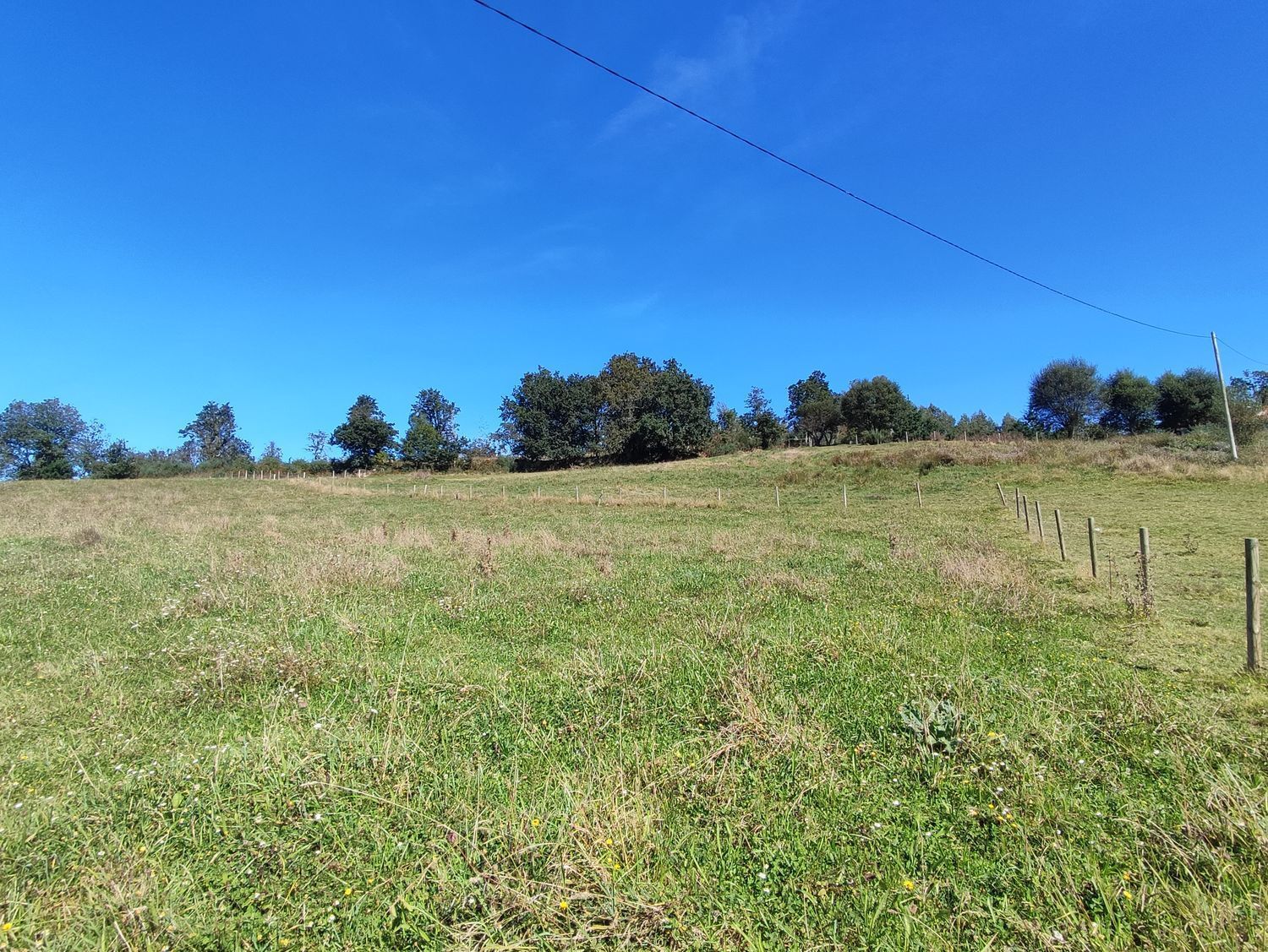 Fincas y solares-Venta-A Laracha-2419514-Foto-9