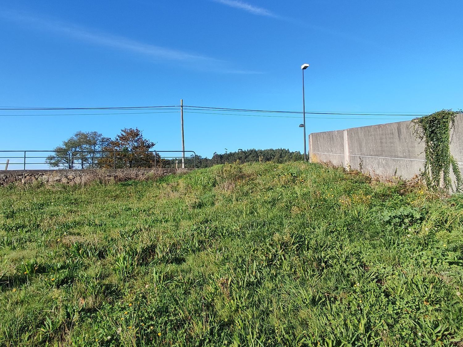 Fincas y solares-Venta-Cerceda-2419517-Foto-7