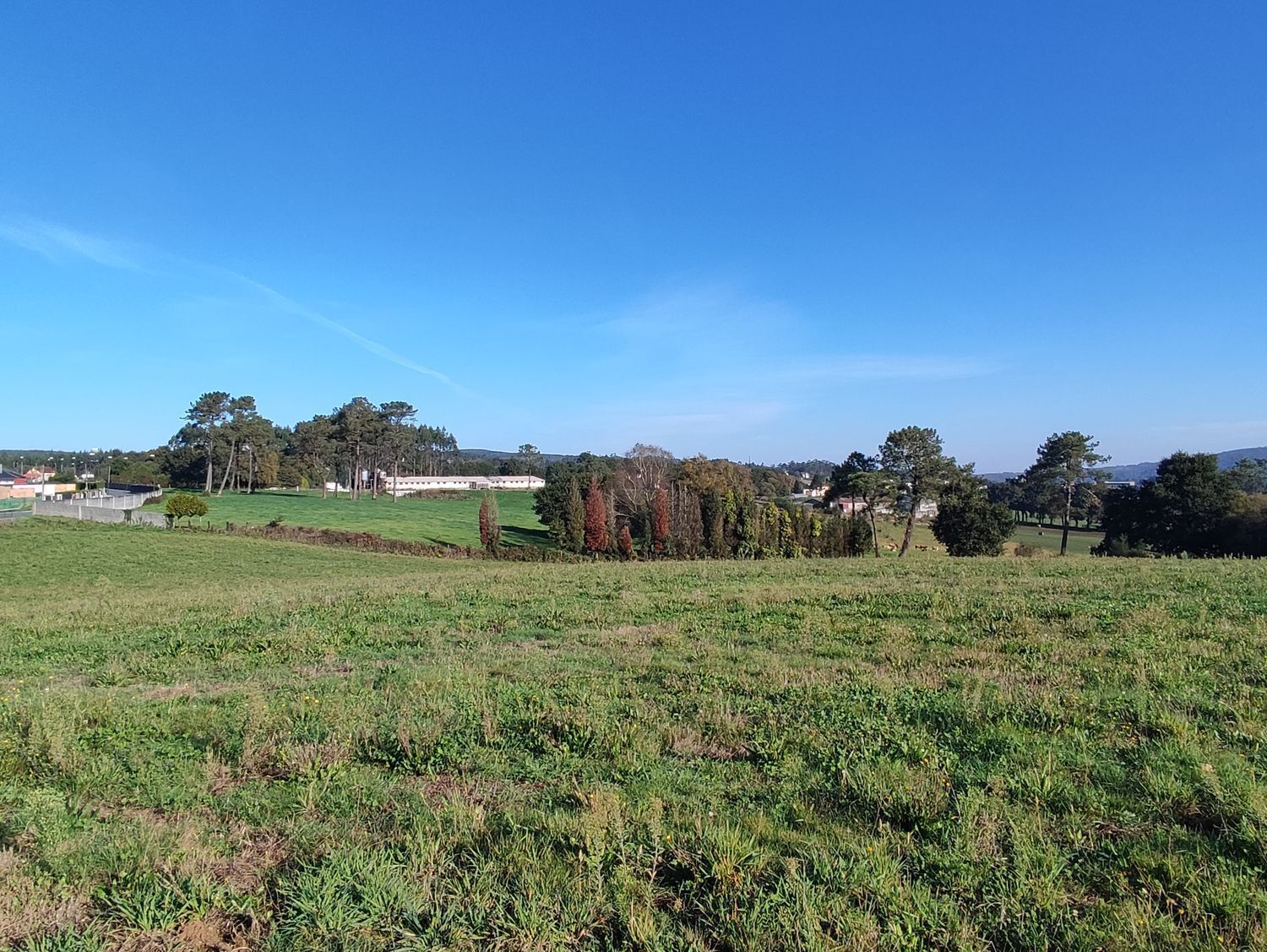 Fincas y solares-Venta-Cerceda-2419517-Foto-11