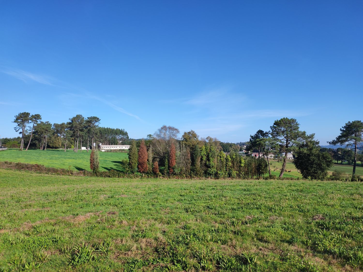 Fincas y solares-Venta-Cerceda-2419517-Foto-12