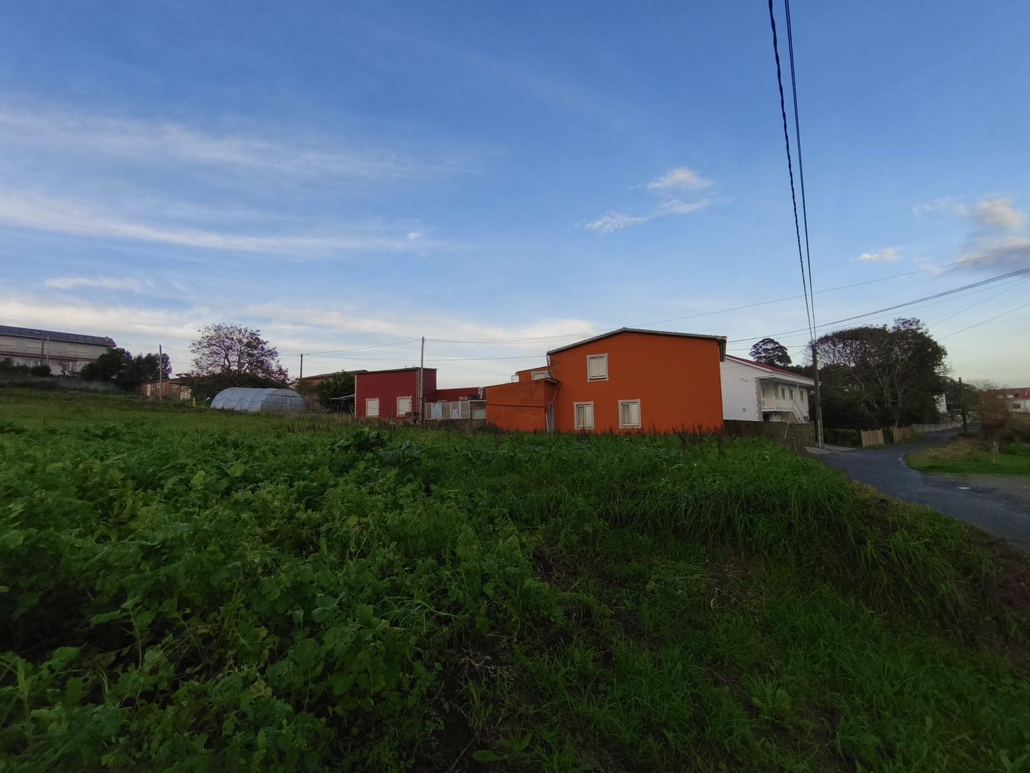 Fincas y solares-Venta-Ferrol-2419529-Foto-6