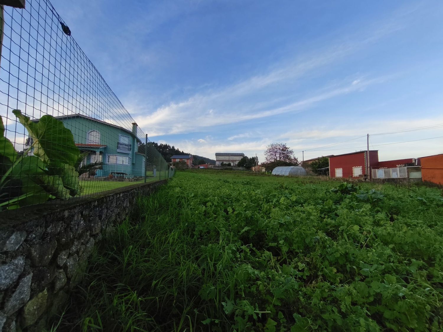 Fincas y solares-Venta-Ferrol-2419529-Foto-9