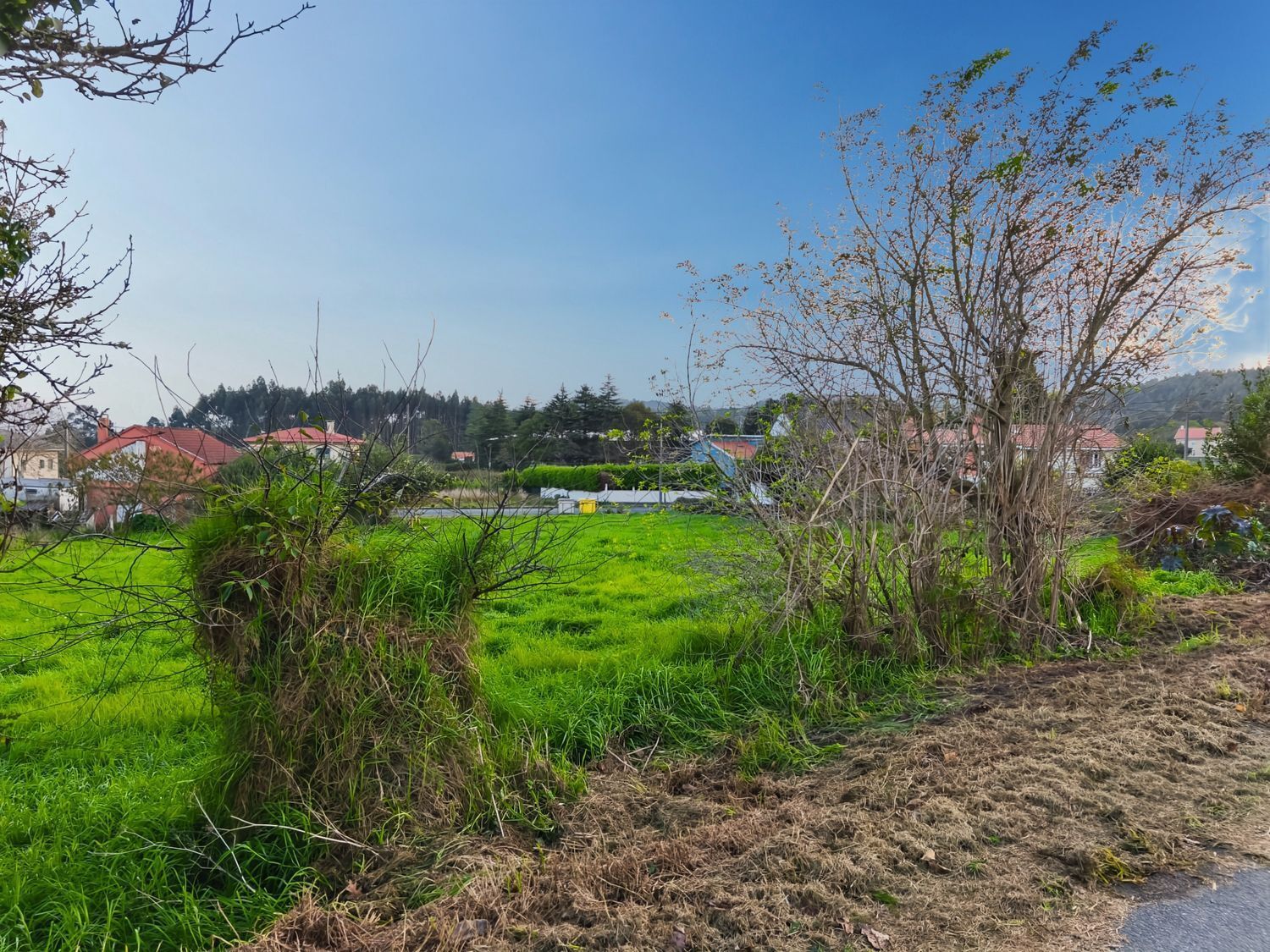 Fincas y solares-Venta-Ferrol-2419529-Foto-8