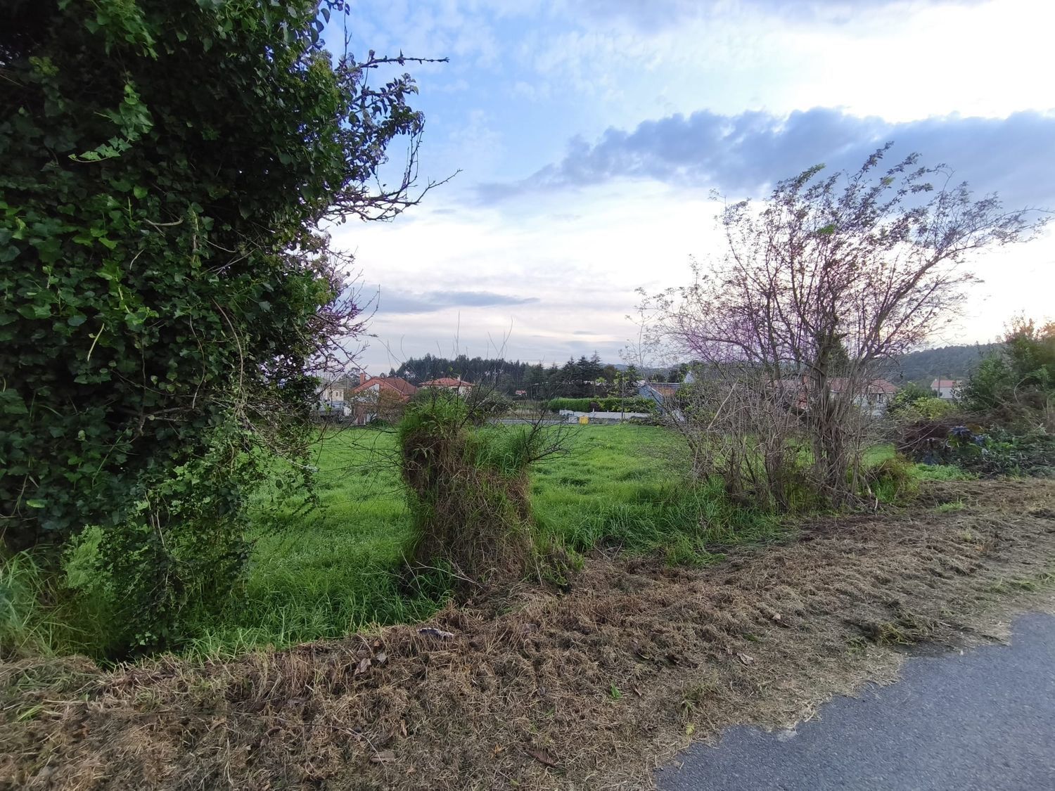 Fincas y solares-Venta-Ferrol-2419529-Foto-16