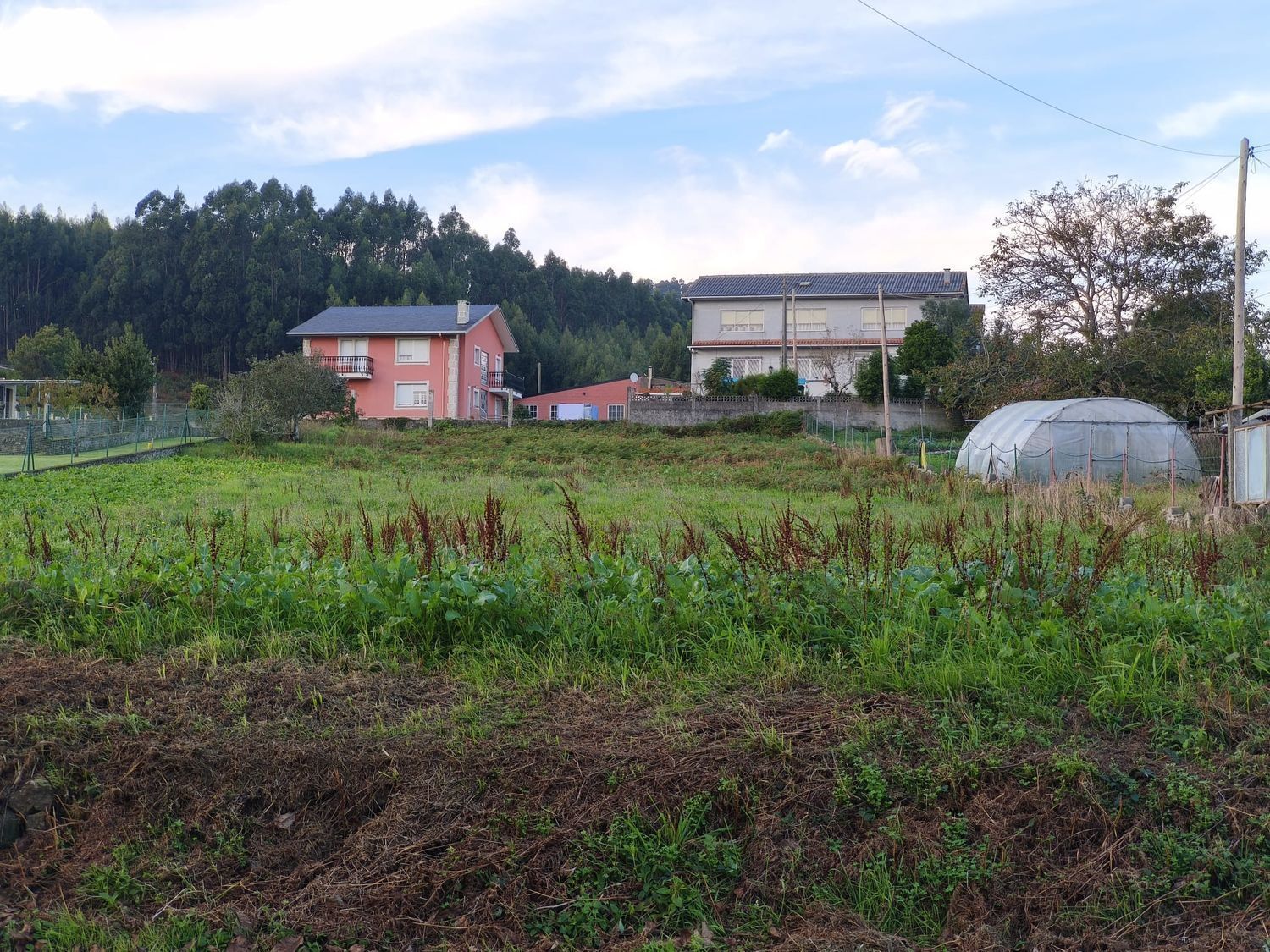Fincas y solares-Venta-Ferrol-2419529-Foto-10