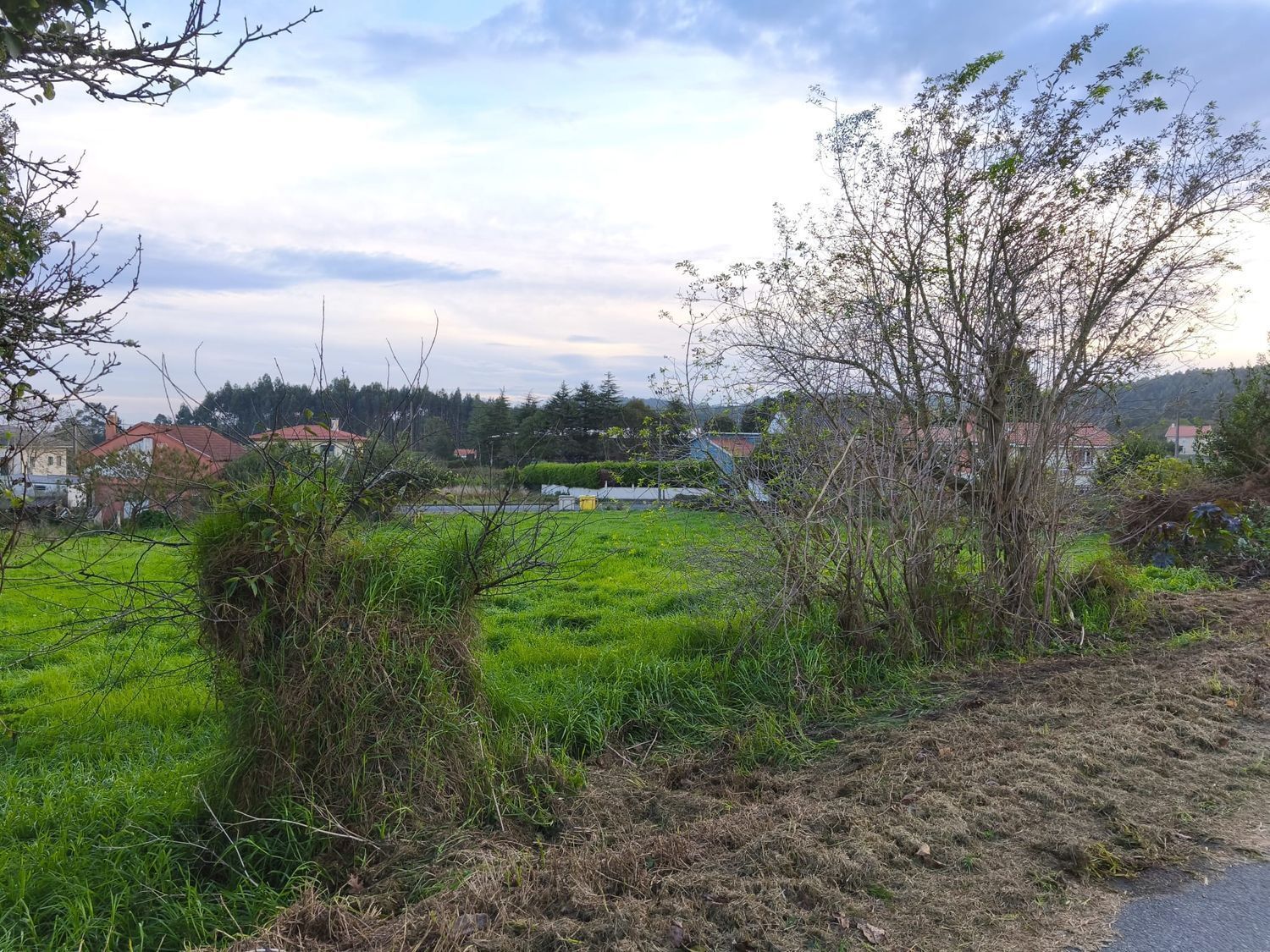Fincas y solares-Venta-Ferrol-2419529-Foto-17