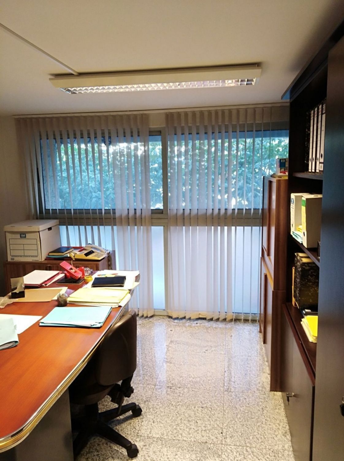 Oficinas-Alquiler-Fene-2419535-Foto-3
