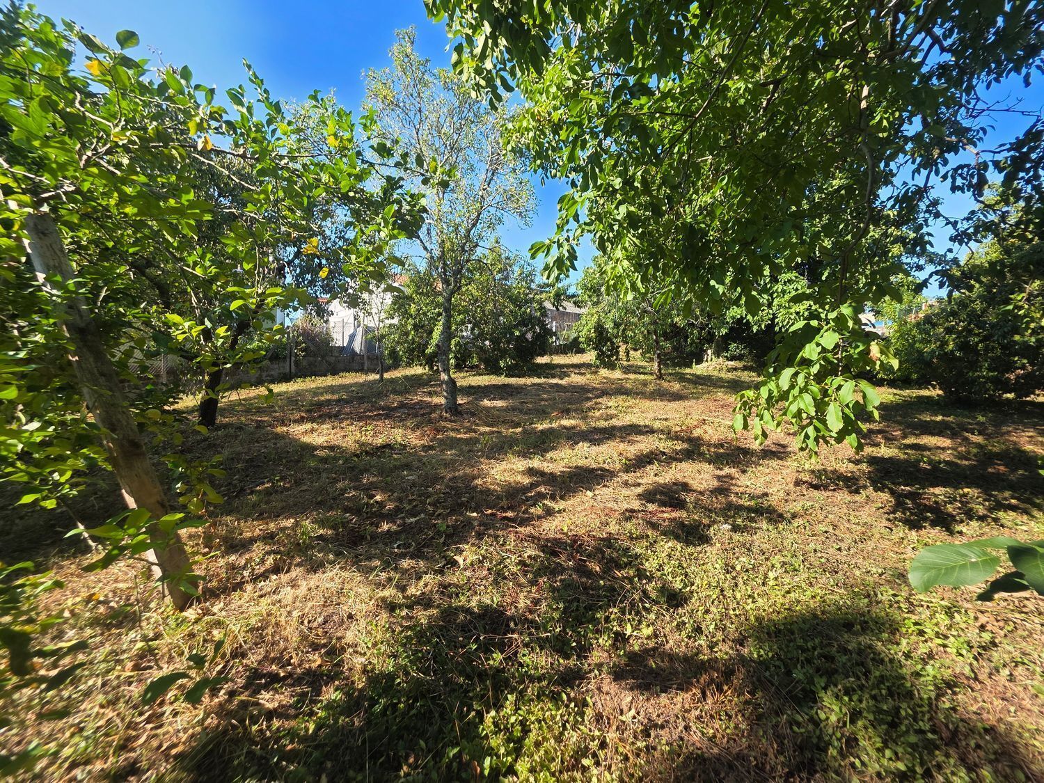 Casas o chalets-Venta-Ribeira-2419541-Foto-33