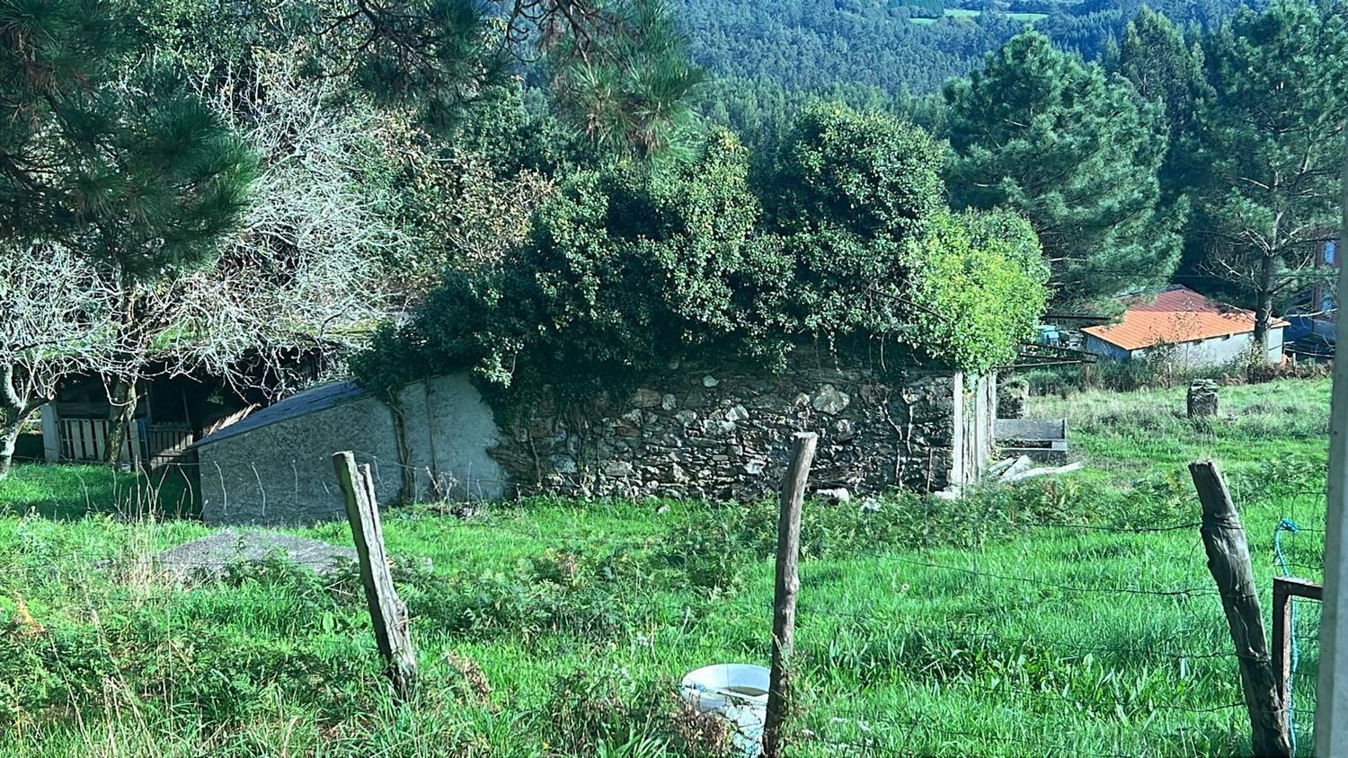 Pisos-Venta-San SadurniÃ±o-2419562-Foto-3