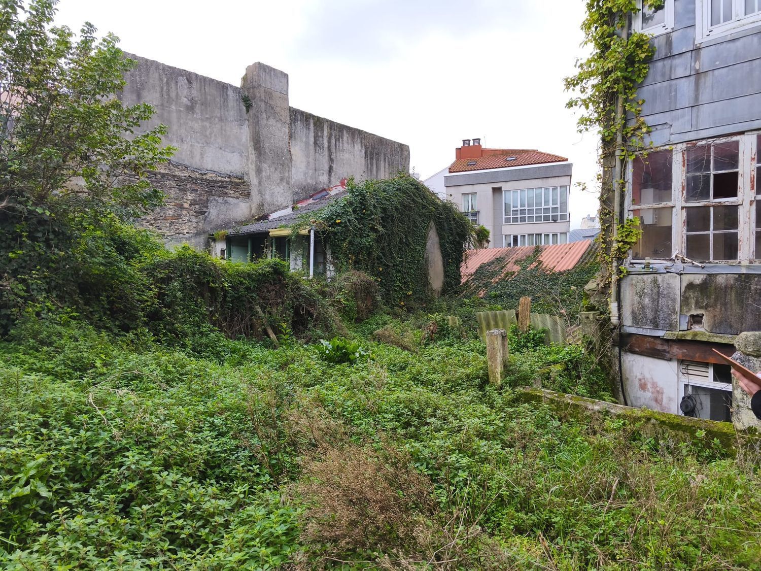 Edificios-Venta-Ferrol-2419580-Foto-13