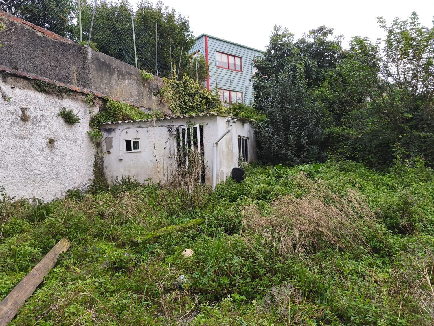 Edificios-Venta-Ferrol-2419580-Foto-15