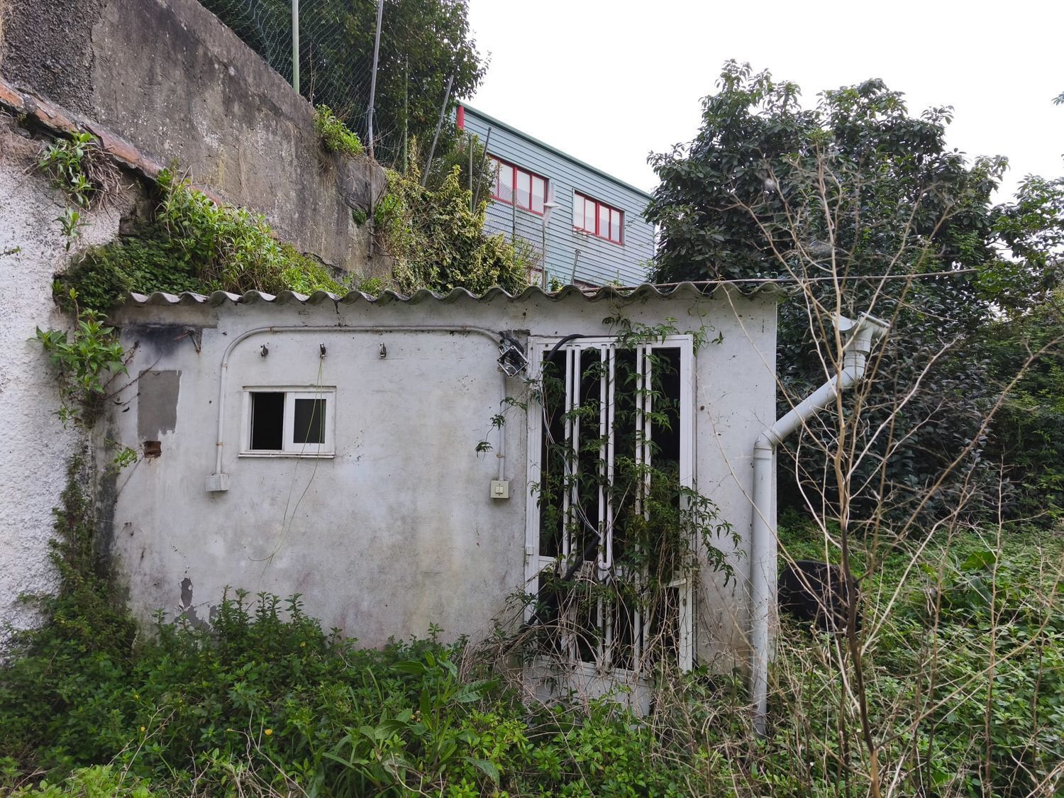 Edificios-Venta-Ferrol-2419580-Foto-14