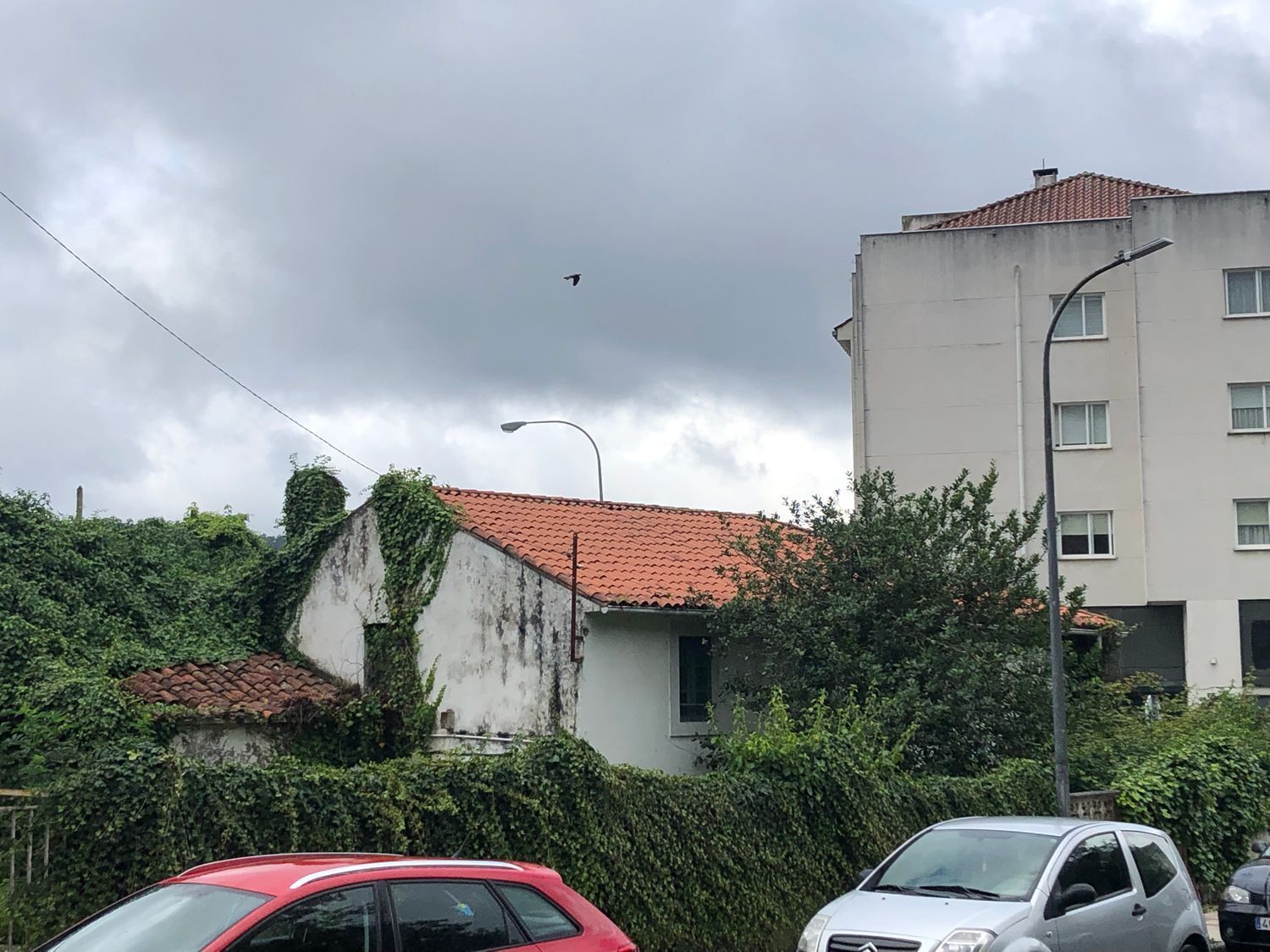 Casas o chalets-Venta-Fene-2419604-Foto-9