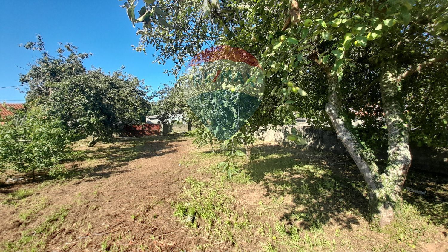Fincas y solares-Venta-Sada-2419631-Foto-6
