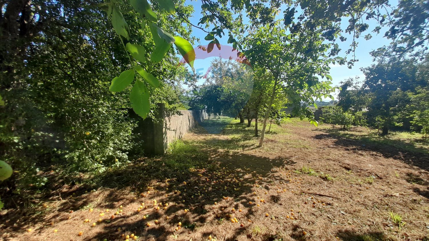 Fincas y solares-Venta-2419631