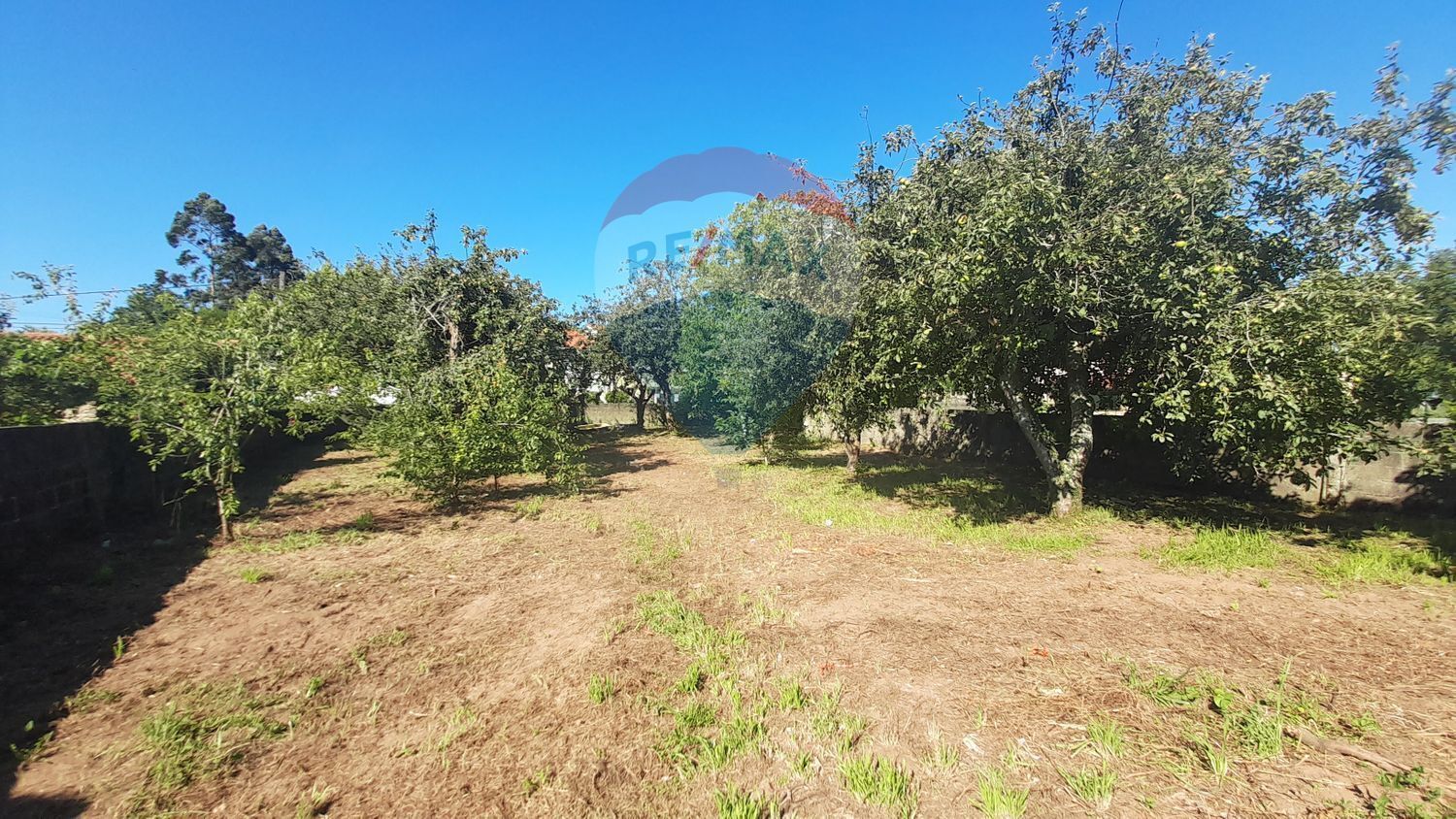 Fincas y solares-Venta-Sada-2419631-Foto-2